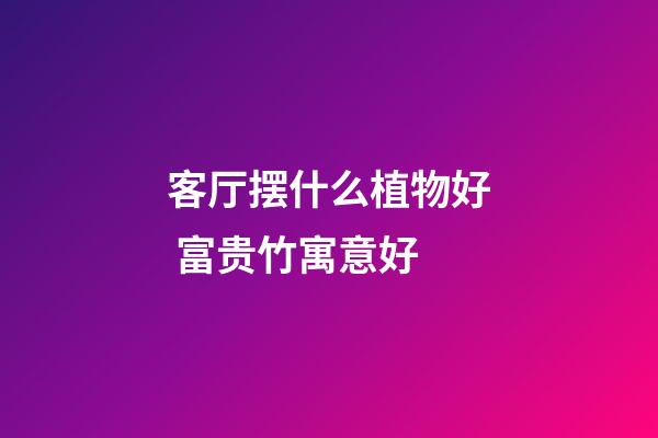 客厅摆什么植物好 富贵竹寓意好